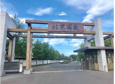 榆树吧最新资讯揭秘,小巷深处的隐藏版特色小店