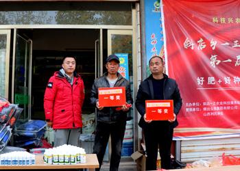 聊城玉米价格动态,全面指南与最新动态更新