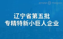 专精特新小巨人上市公司的崛起与挑战，探究其未来发展之路