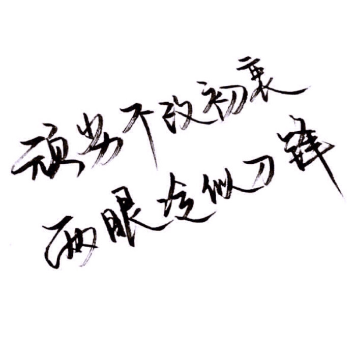最新白底文字图片，设计、应用与流行趋势探讨