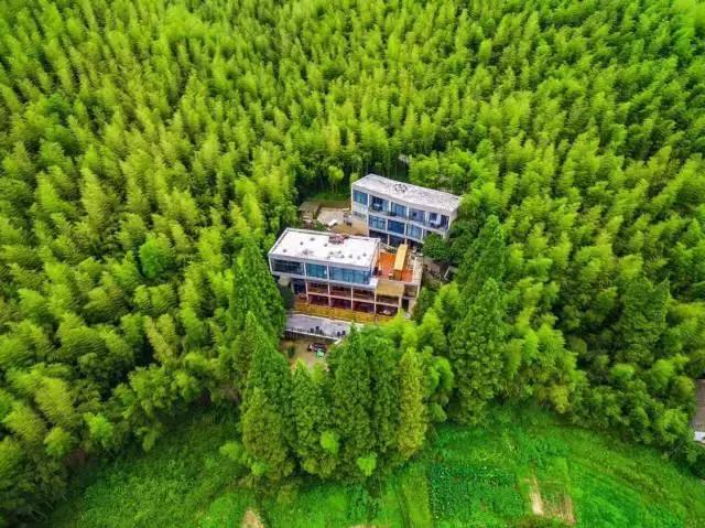 梦幻般的爱情故事,睡明星的小说,与明星的浪漫邂逅