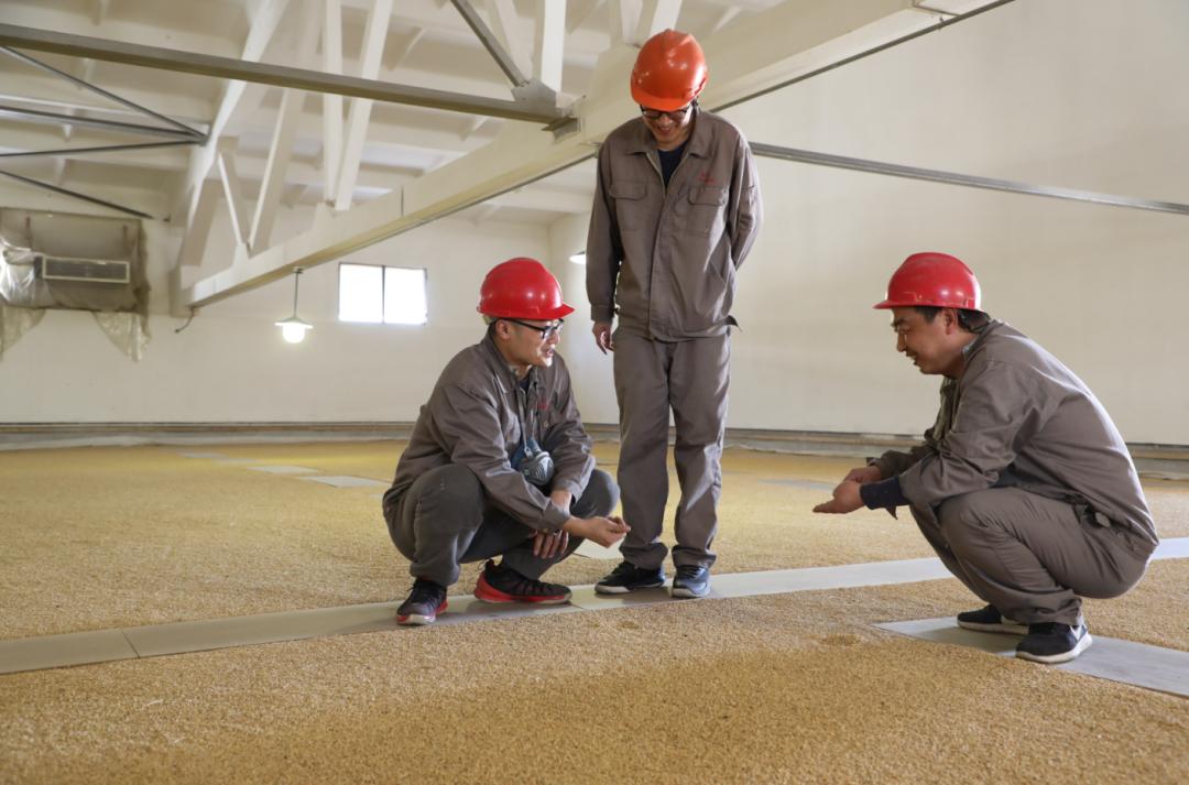 中国粮食行情中的温情故事