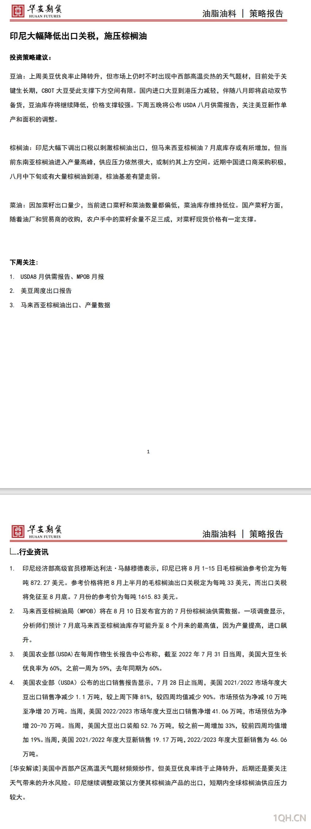 棕榈油最新动态,小巷深处的独特风味探索