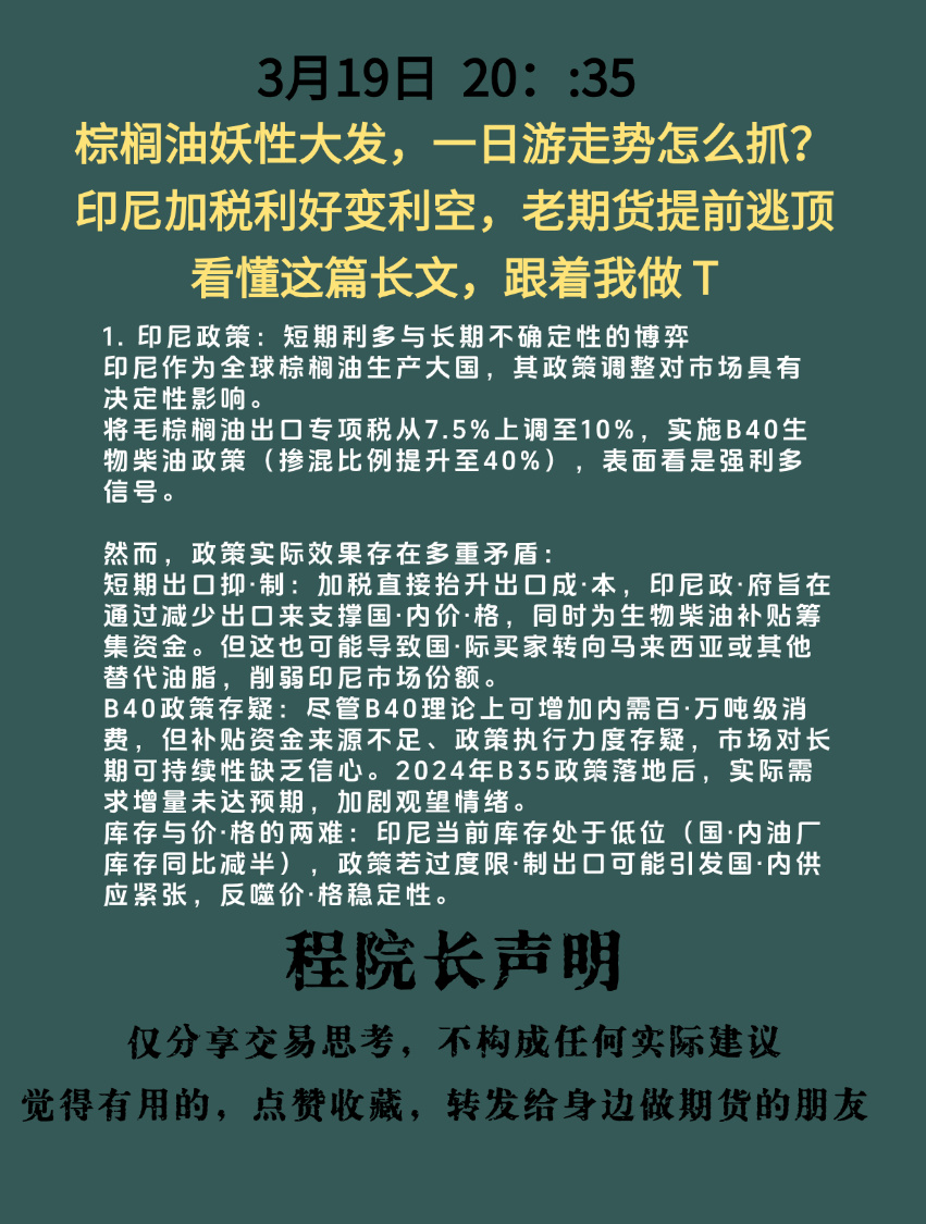 棕榈油最新动态,小巷深处的独特风味探索