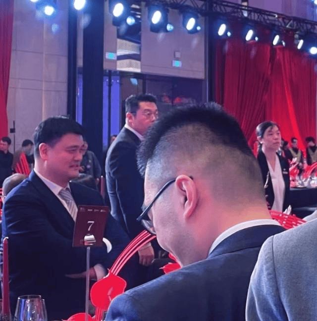 姚明最新动态，多维度视角与观点分析揭秘