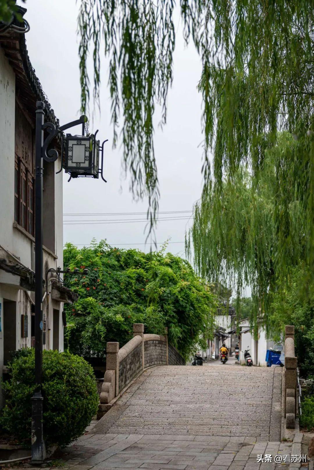 真三花街比赛视频,电竞盛宴的全方位解读