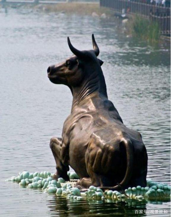 铁牛视频更新,时代印记与技术飞跃的视听盛宴