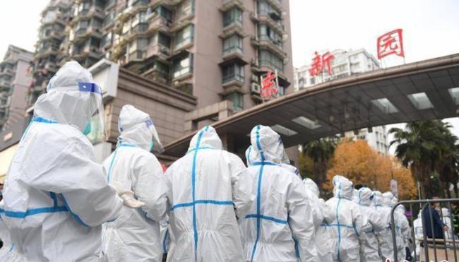 杭州疫情最新动态与绿意中的轻松之旅