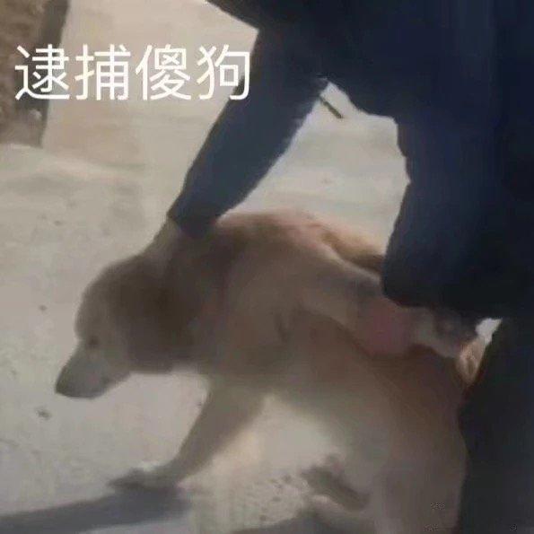 追逐时尚前沿，最新最热包包塑造自信与成就之路