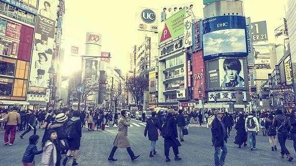 日本最新肺部学习指南,步骤详解与肺部健康知识探索