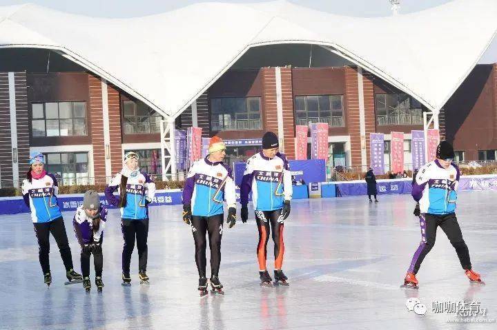 葛晶最新动态揭秘,新领域探索之旅