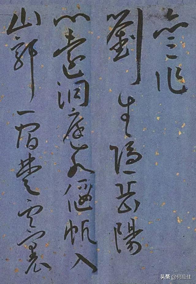 宠物的时代变迁与影响,从过去到现在,宠物的新变化及其影响分析