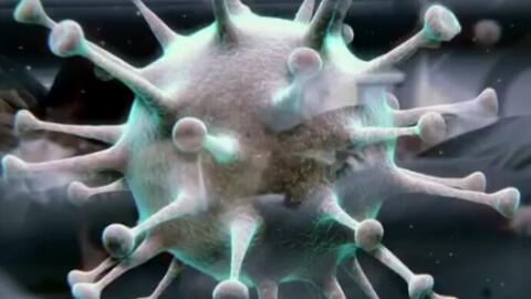 最新肺炎视频,自然之旅,寻找内心的平和与宁静