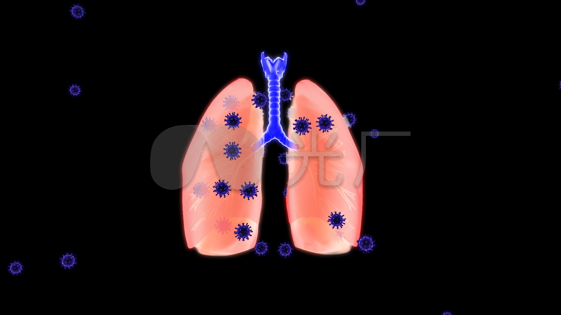 最新肺炎视频,自然之旅,寻找内心的平和与宁静