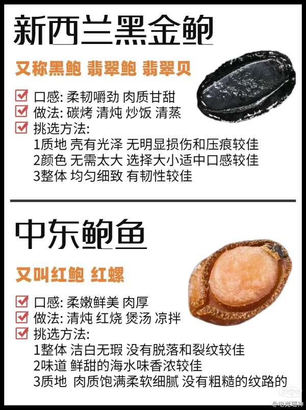 揭秘最新鲍鱼品种,盛宴美味,不容错过!