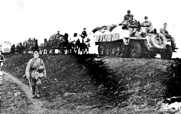 东线战场最新动态,与自然美景的轻松邂逅