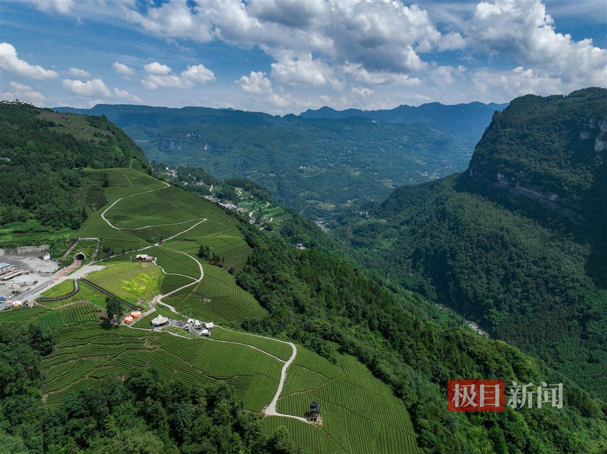 恩施网最新资讯,数字时代展现恩施新面貌