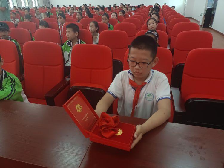 树屏最新,任务完成与技能学习详细步骤指南