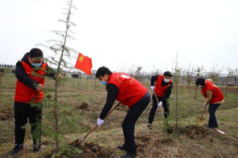 浦口最新疫情动态，共同关注，守护家园