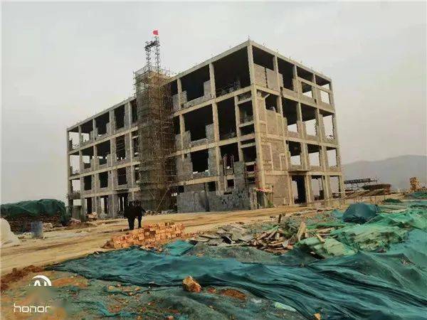 鹤壁最新治愈，时代之光照亮健康之路的进程