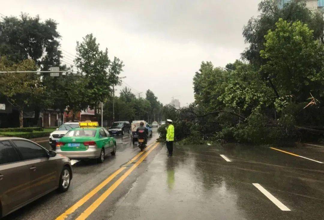 天水暴雨背后的力量,自信与成就感的彰显