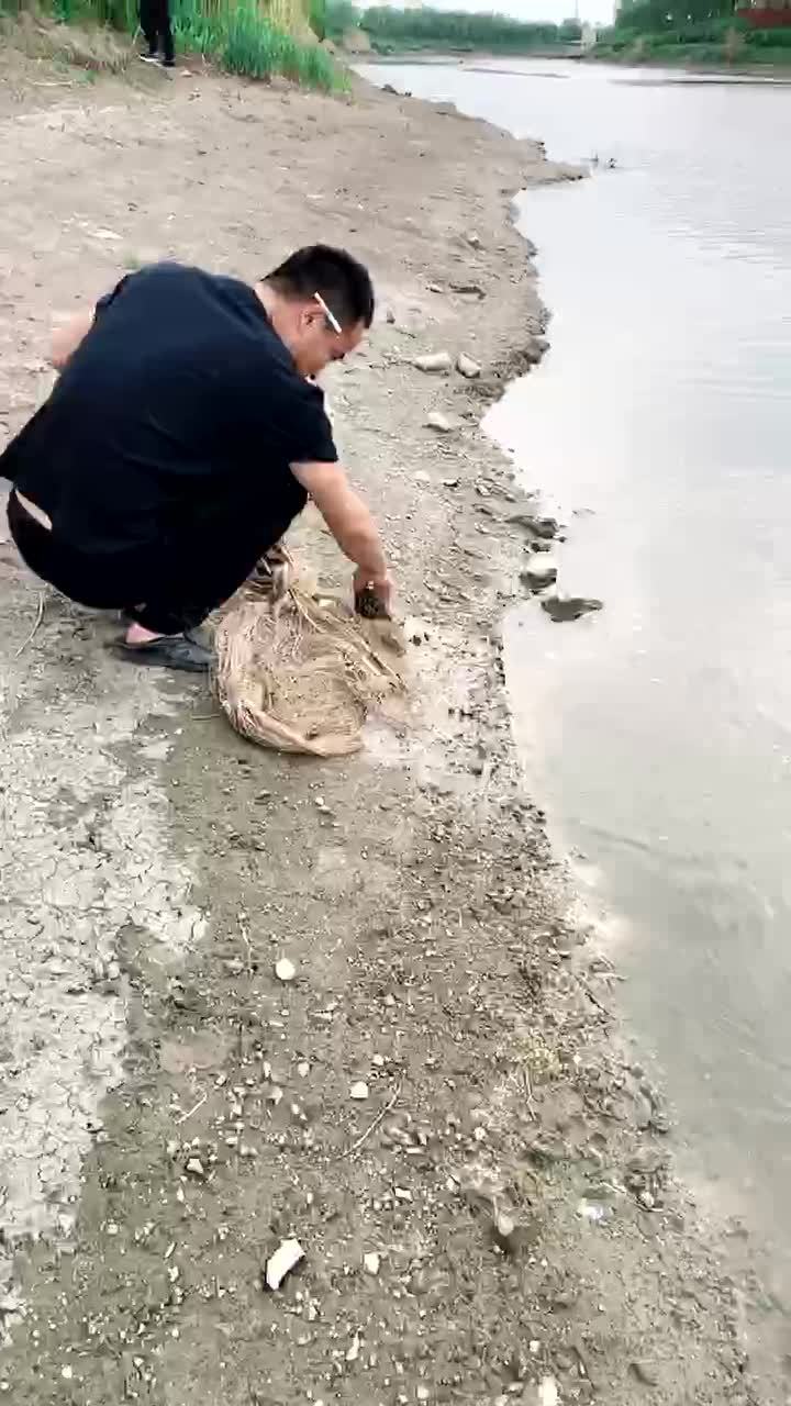 最新撒鱼网揭秘,小巷深处的独特美味