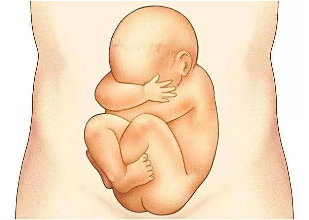 自然美景鼓舞之旅,最新踢腿体验之旅