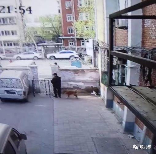 呼唤亲情的力量与时代见证,最新寻家属行动启动