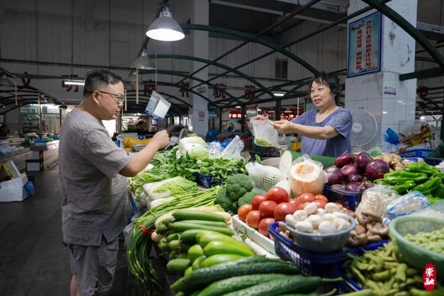 杨凌最新菜价及指南速递