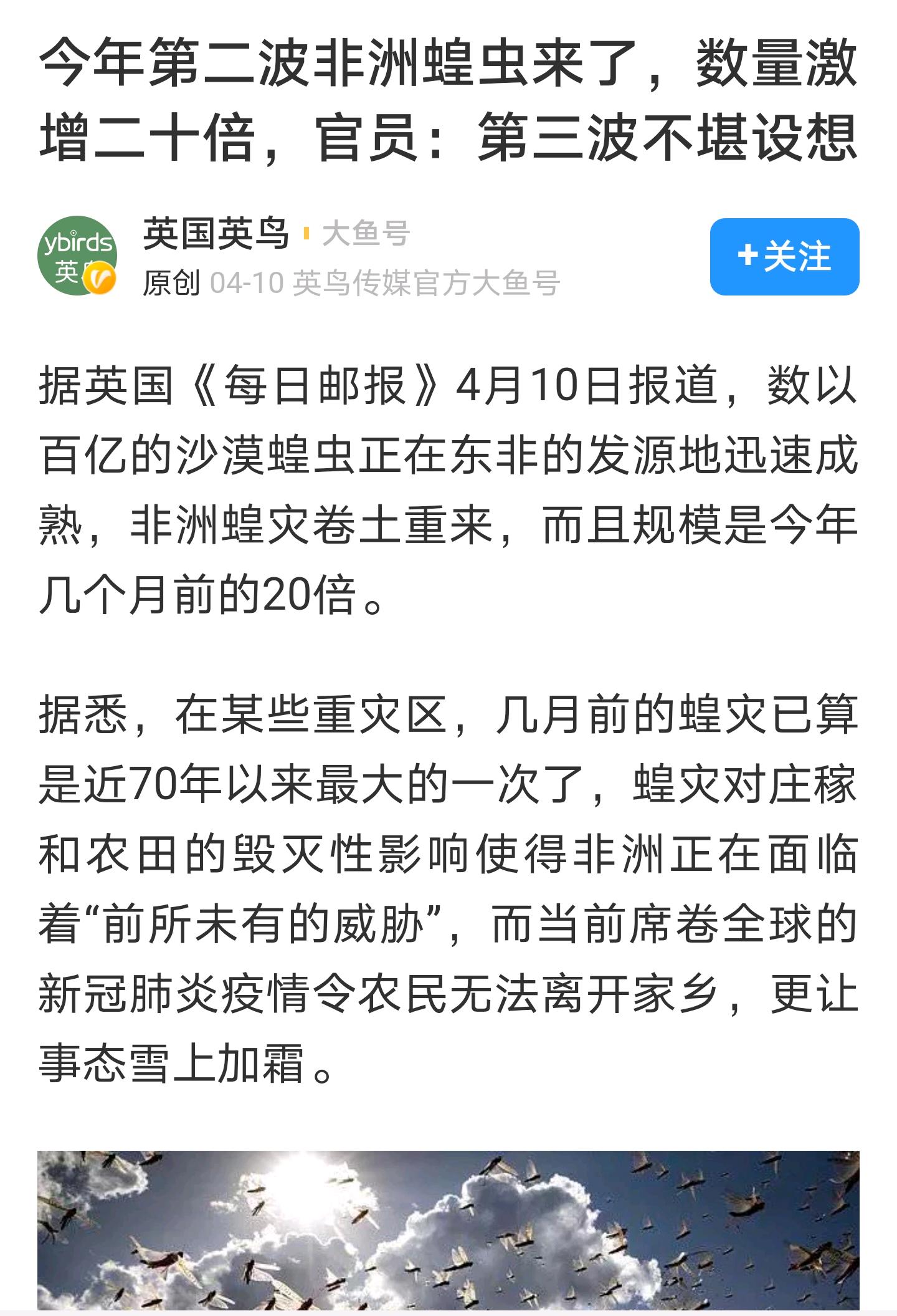 🚨蝗灾最新动态,关键信息一览无余!