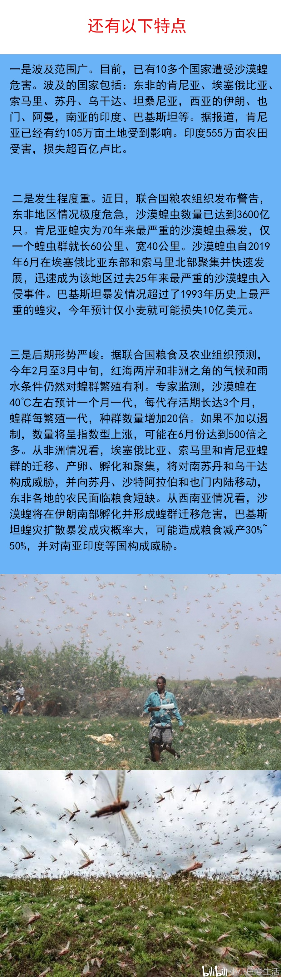 🚨蝗灾最新动态,关键信息一览无余!