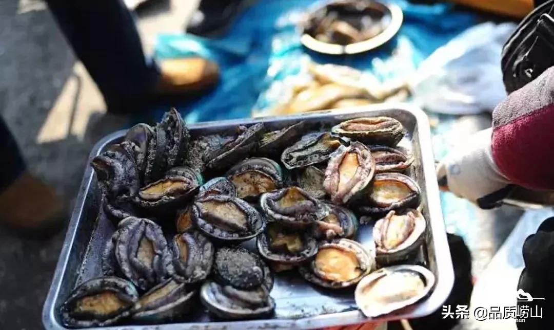 崂山鲍鱼背后的励志故事,一只鲍鱼引发的奋斗篇章