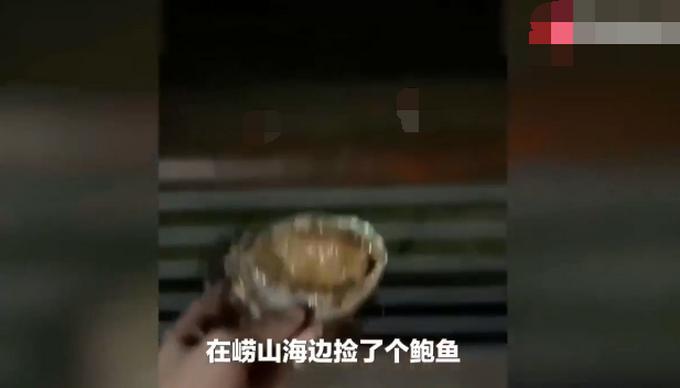 崂山鲍鱼背后的励志故事,一只鲍鱼引发的奋斗篇章