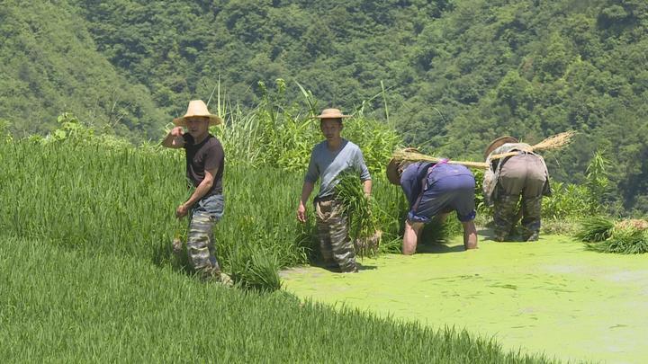 小佐最新，探寻自然美景之旅，寻找内心平和之地