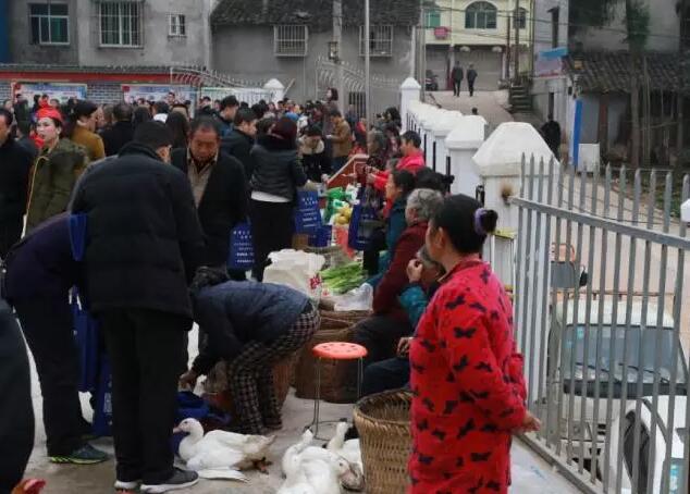 柚子最新代,全新魅力体验之旅🌟