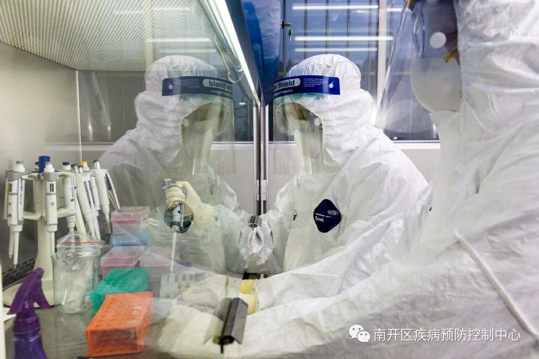 南开最新疫情，观点阐述与分析概述