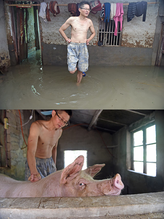 桐城最新洪灾深度解析与观点阐述