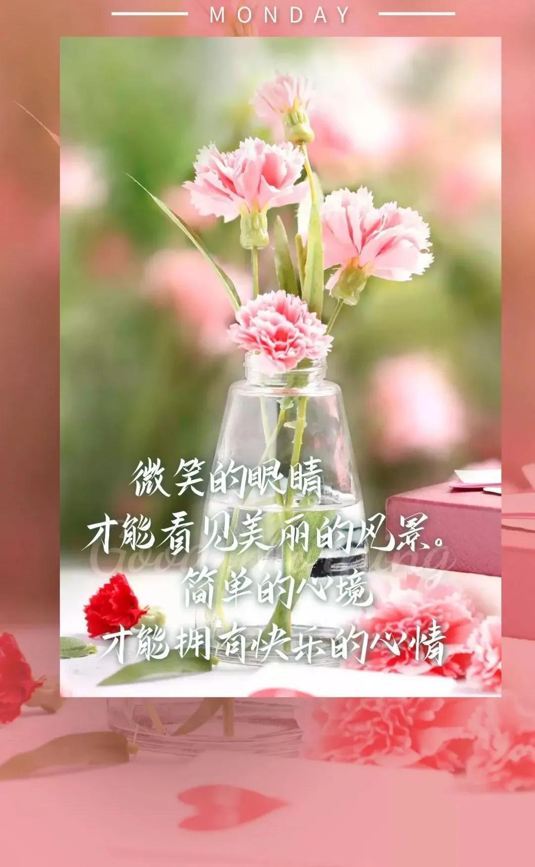 静静最新视频,时代印记与文化的回响