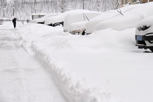 最新雨雪，科普、观察与体验之旅